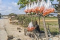 SUMBE/ANGOLA - 28OCT2017 - Portrait of African rural street vendor. Selling shrimps