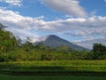 Sumbing mountain and ricefields at beautiful morning Royalty Free Stock Photo