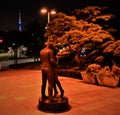 A sumer night kiss in front of Seoul Tower