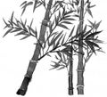 Sumi-e bamboos suibokuga Royalty Free Stock Photo