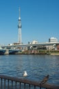 Sumida river and Tokyo Skytree