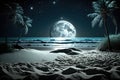 Beautiful beach moonlight romantic environment