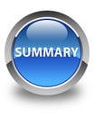 Summary glossy blue round button