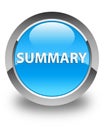 Summary glossy cyan blue round button