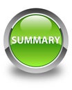 Summary glossy green round button Royalty Free Stock Photo