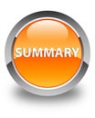 Summary glossy orange round button