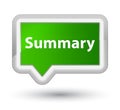 Summary prime green banner button Royalty Free Stock Photo