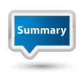 Summary prime blue banner button