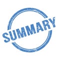 SUMMARY text written on blue grungy round stamp