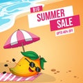 Big summer sale banner design Royalty Free Stock Photo