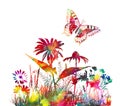 Summer abstract background. Colored flowers and butterflies in watercolor. Vector illustration Royalty Free Stock Photo