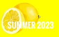 Summer 2023 Abstract Background Illustration Header