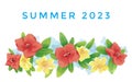 Summer 2023 Abstract Background Illustration Header