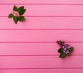 Summer abstract background mockup in corners flowers borders frames lilac bloom Royalty Free Stock Photo