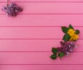 Summer abstract background mockup in corners flowers borders frames lilac bloom Royalty Free Stock Photo