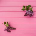 Summer abstract background mockup in corners flowers borders frames lilac bloom Royalty Free Stock Photo