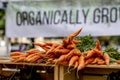 Summer afternoon at Farmer`s Market in Fort Collins Colorado