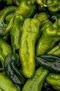 Summer afternoon at Farmer`s Market in Fort Collins Colorado