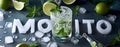 Summer alcohol drink mojito with ice cubes and mint Royalty Free Stock Photo