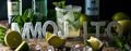 Summer alcohol drink mojito with ice cubes and mint Royalty Free Stock Photo