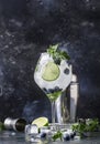 Summer alcoholic cocktail blueberry mojito with rum, green mint, lime and crushed ice, bar tools, gray bar counter, selective Royalty Free Stock Photo