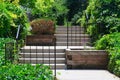 Summer alley city street view with concrete steps, green trees, plants and old wooden flowerbed with blooming lavender Royalty Free Stock Photo