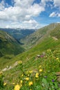 Summer alpine mountains