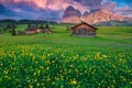 Summer alpine scenery with yellow globeflowers on the fields, Dolomites