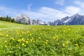 Summer alps landscape with flower meadows and mountain range in background. Photo taked near Walderalm, Austria, Gnadenwald, Tyrol Royalty Free Stock Photo