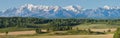 Summer in the Altai Mountains, large panorama. Forest and snow-capped peaks, summer morning