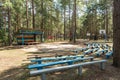 Summer amphitheater in the pinery forest with colored benches