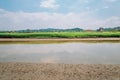 Summer of Ansan Reed Marsh Park in Ansan, Korea