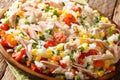 Summer appetizer salad of rice, tuna and fresh vegetables close-up in a plate. horizontal