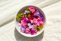 Summer, floral, artistic background with variety of petals and colors in a bowl on cream fabric Royalty Free Stock Photo