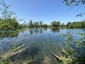 Summer atmosphere in the Old Rhine Nature Park, Lustenau - Vorfruehlings Stimmung im Naturpark Alter Rhein Royalty Free Stock Photo