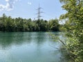 Summer atmosphere in the Old Rhine Nature Park, Lustenau - Vorfruehlings Stimmung im Naturpark Alter Rhein Royalty Free Stock Photo