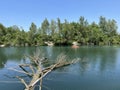 Summer atmosphere in the Old Rhine Nature Park, Lustenau - Vorfruehlings Stimmung im Naturpark Alter Rhein Royalty Free Stock Photo