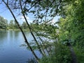 Summer atmosphere in the Old Rhine Nature Park, Lustenau - Vorfruehlings Stimmung im Naturpark Alter Rhein Royalty Free Stock Photo