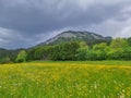 Summer austrian landscape with green meadows and impressive mountains, view from small alpine village Tauplitz, Styria region, Royalty Free Stock Photo