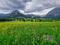 Summer austrian landscape with green meadows and impressive mountains, view from small alpine village Tauplitz, Styria region, Royalty Free Stock Photo