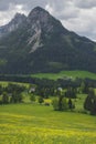 Summer austrian landscape with green meadows and impressive mountains, view from small alpine village Tauplitz, Styria region, Royalty Free Stock Photo
