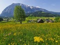 Summer austrian landscape with Grimming mountain 2.351 m, an isolated peak in the Dachstein Mountains, view from small alpine Royalty Free Stock Photo