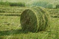 Summer autumn hay