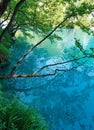 Summer azure limpid transparent lake (Plitvice, Croatia) Royalty Free Stock Photo