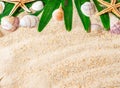 Summer background with beach sand, starfish coconut leaves, and shell decoration hanging on wooden background Royalty Free Stock Photo