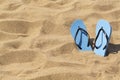 Summer background of beach and shoes on sand. Blue flip flops on the sunny tropical beach. Royalty Free Stock Photo