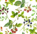 Summer background with berries - raspberry, strawberry, bilberry. Watercolor Royalty Free Stock Photo