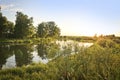 Summer background - calm river among birch groves, sunset over the river. Summer landscape Royalty Free Stock Photo