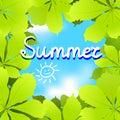 Summer background with chestnut leaves