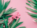 summer background concept with pink flower bloom of oleander tropical arrange on pastel pink background Royalty Free Stock Photo